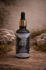 Tinktúra Hliva ustricová - slovenská výroba