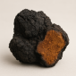Chaga (Inonotus obliquus) Chaga (Inonotus obliquus)