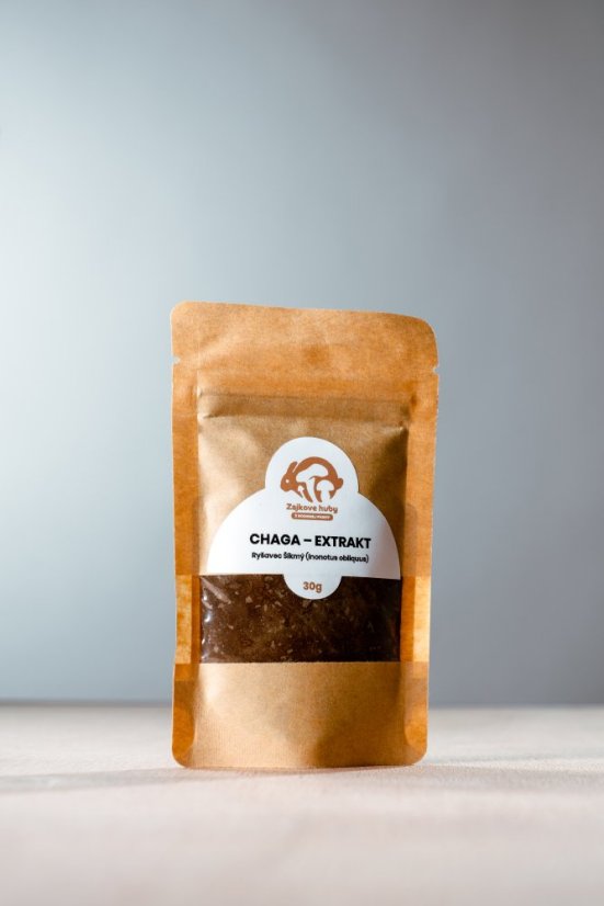 Chaga práškový extrakt - 15:1