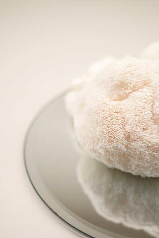 Korálovec ježatý (Hericium erinaceus) - prášek