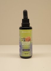 Power Boost - Cordyceps & Zelený čaj