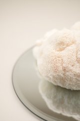 Korálovec ježatý (Hericium erinaceus) - prášek