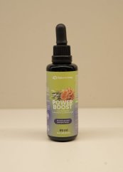 Power Boost - Cordyceps & Zelený čaj